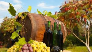 16. ročník "Batizovské vinobranie" a 11 ročník "O najlepší batizovský švakvarkovník" 1